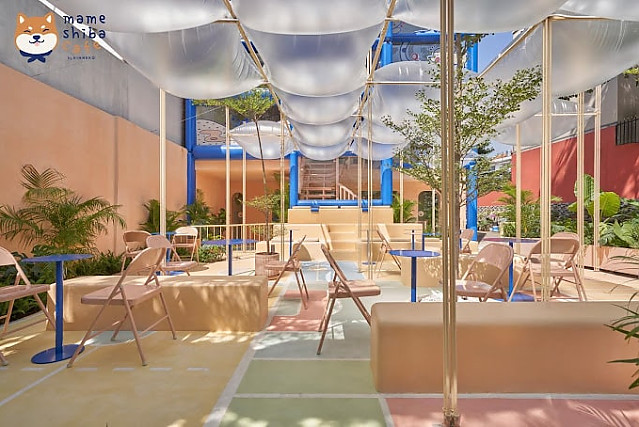 마메 애견 카페(2군)