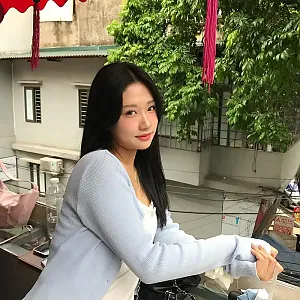 하노이 체고