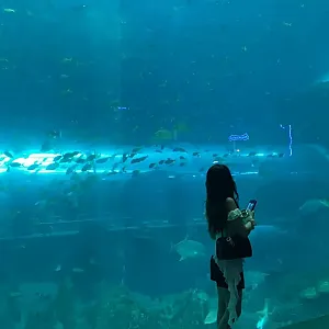 지금은 더 밝아 instagram for fcjiras